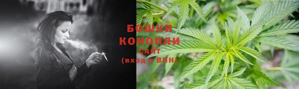 стафф Белокуриха