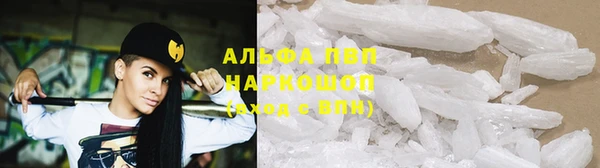 гидра Наволоки